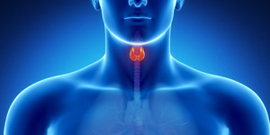 Stylised image of a head and neck with the thyroid gland lit up